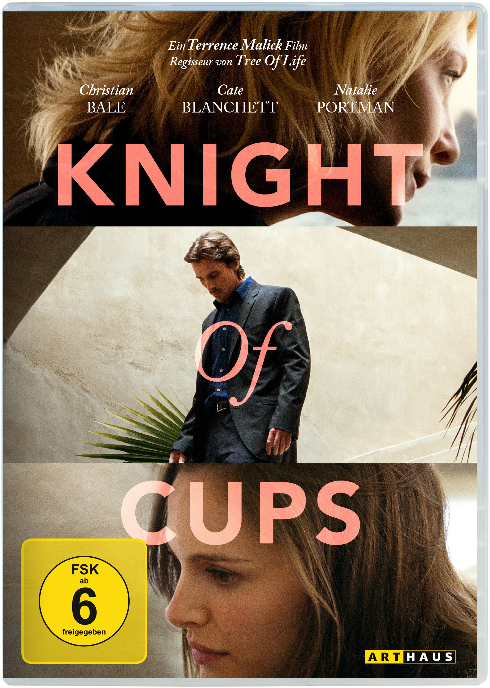 Knight of cups